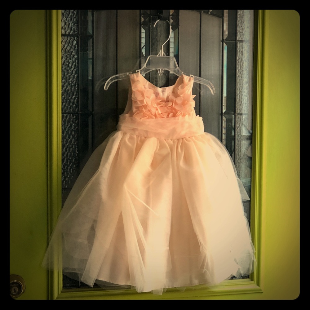 Peachy Keen party dress